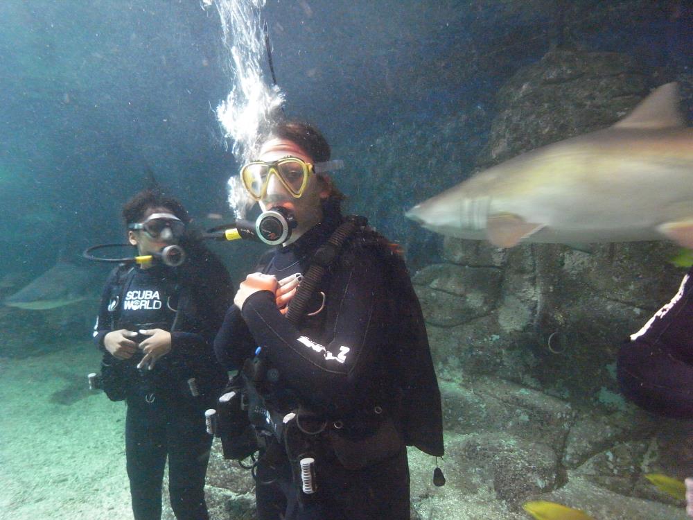 Scuba Corner Dive Shop Singapore Diving Course Singapore