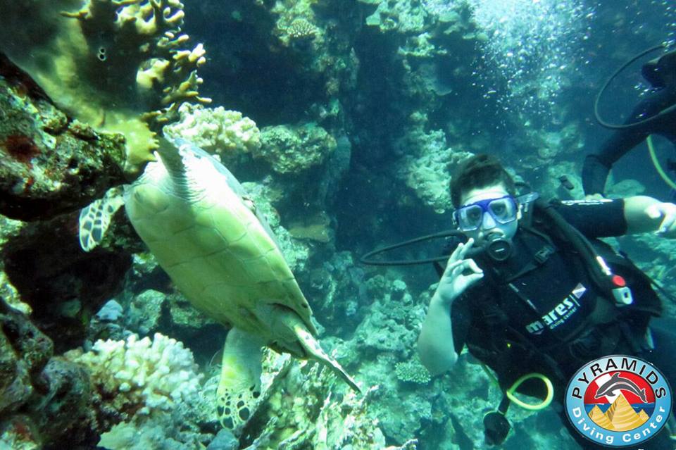 Pyramids Diving Center Dive Shop Scuba Diving Sharm el Sheikh, Egypt