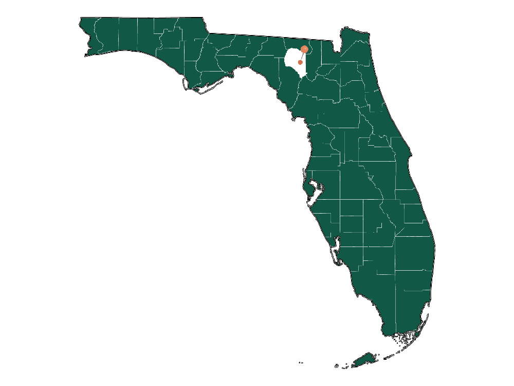 Moving to McAlpinWellborn, Florida in 2023