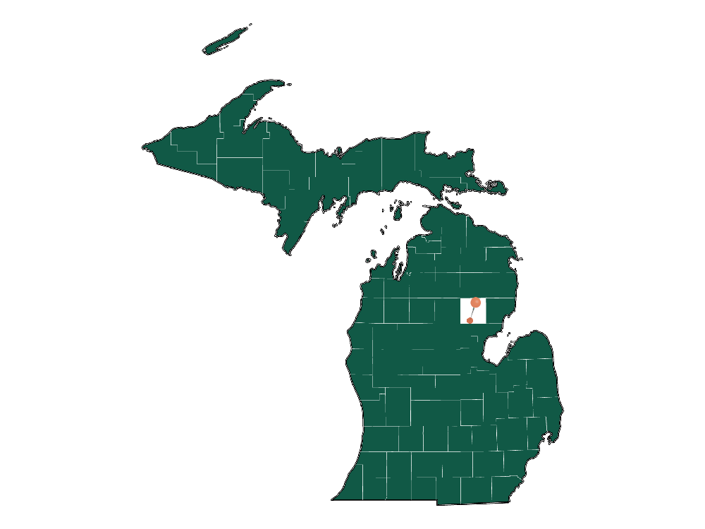 Moving to Horton township, Michigan in 2023