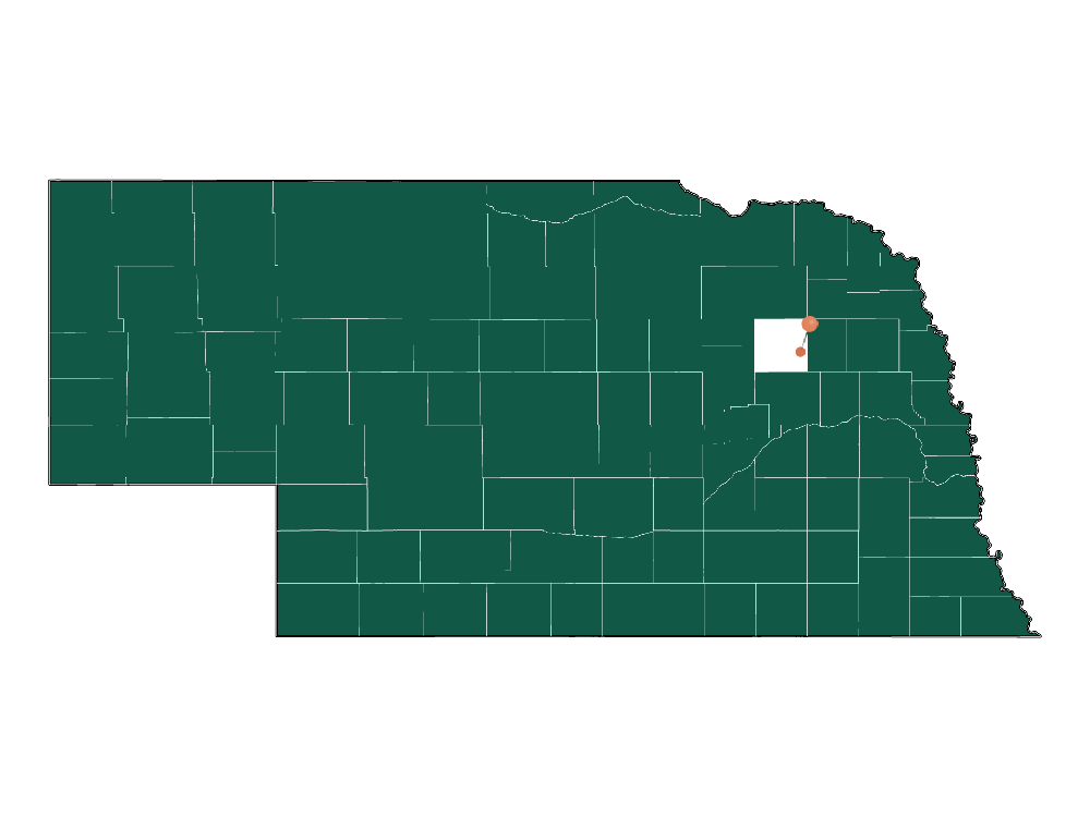 Infrastructure in Union precinct (Madison County), Nebraska