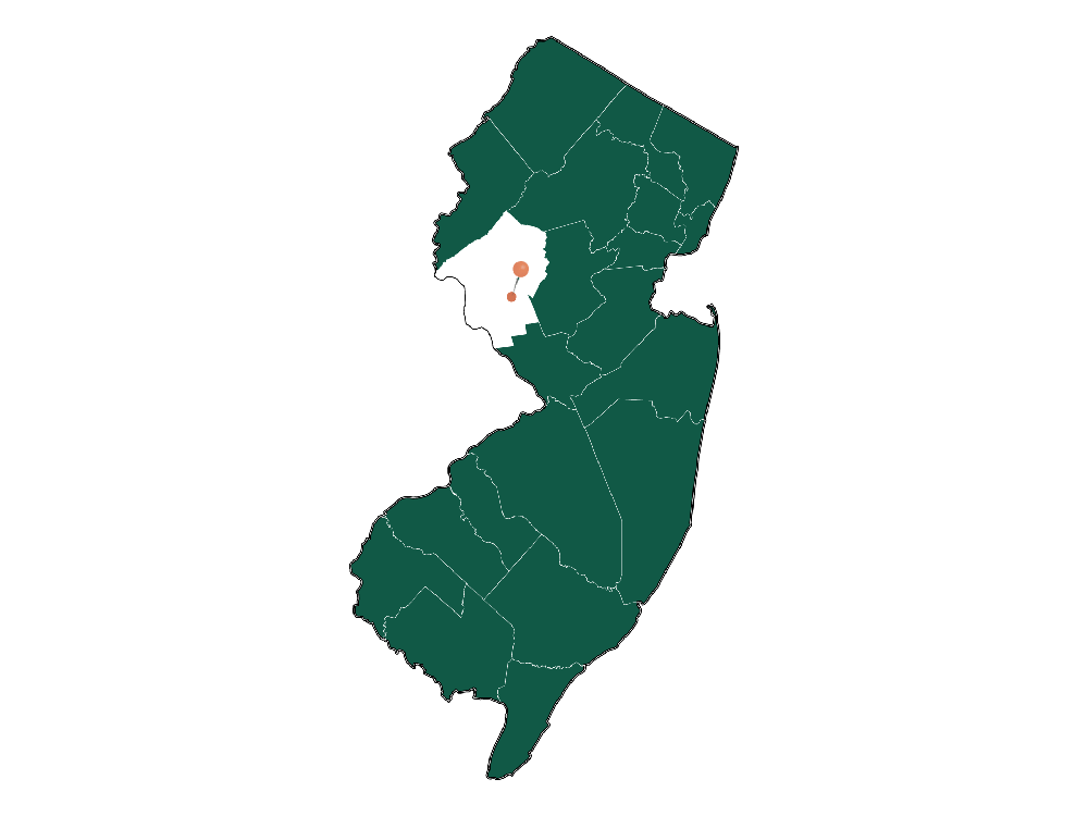 Moving to Raritan township, New Jersey in 2023