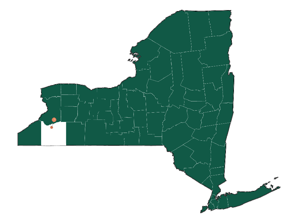 Pros and Cons of living in East Otto, New York