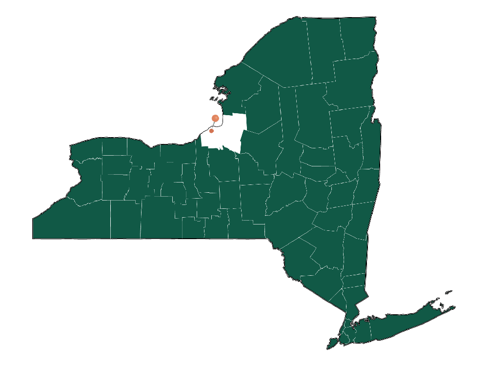 Cost of living in Scriba, New York (Average Prices in Scriba 2023)