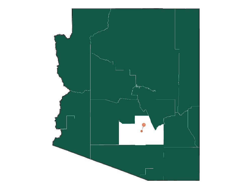 Moving to Cactus Forest, Arizona in 2023