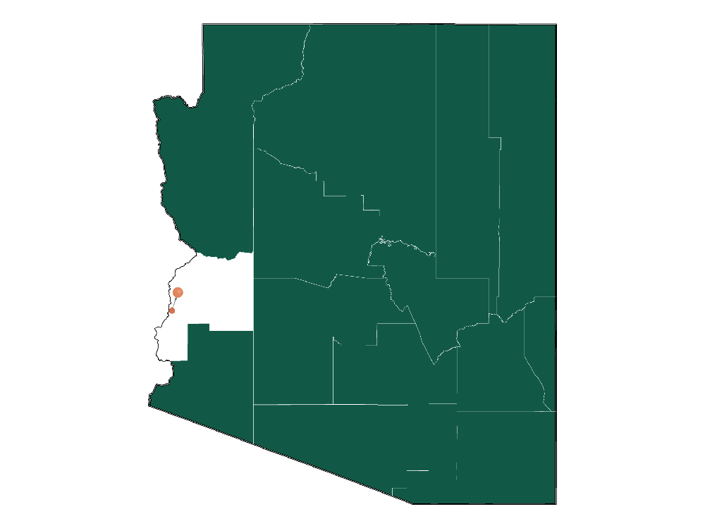 Moving to Ehrenberg, Arizona in 2023