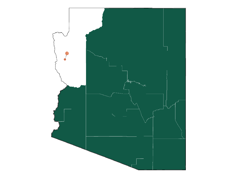 Unlocking Golden Valley, AZ Living Pros and Cons Dwellics