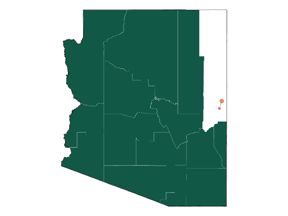 Moving to Springerville, Arizona in 2023