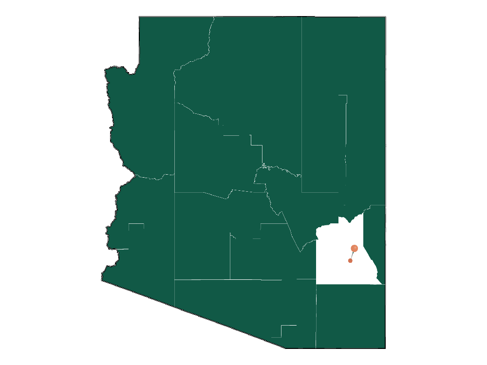 Cost of living in Thatcher, Arizona (Average Prices in Thatcher 2023)