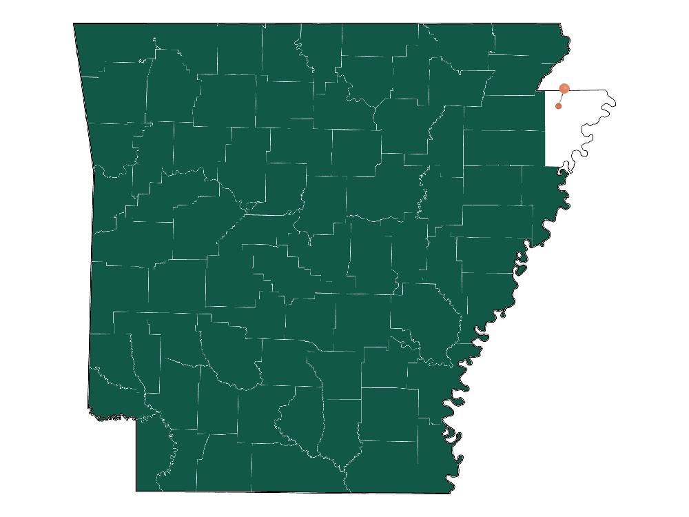 Schools in Manila, Arkansas (Elementary, Middle и High Schools)