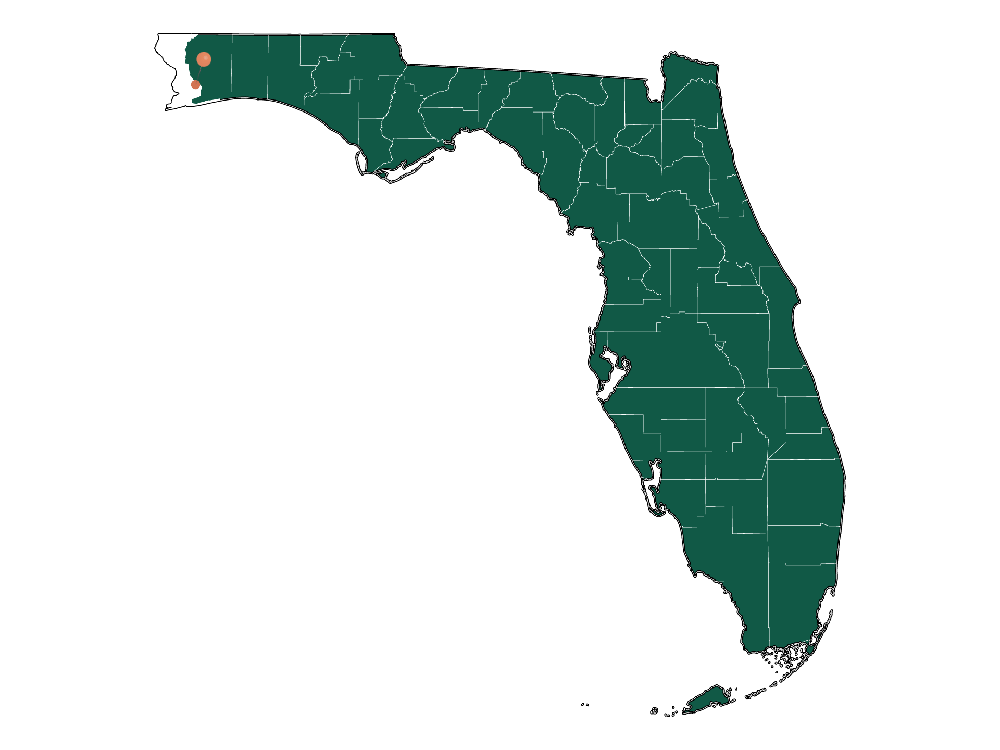 Moving to Ferry Pass, Florida in 2023