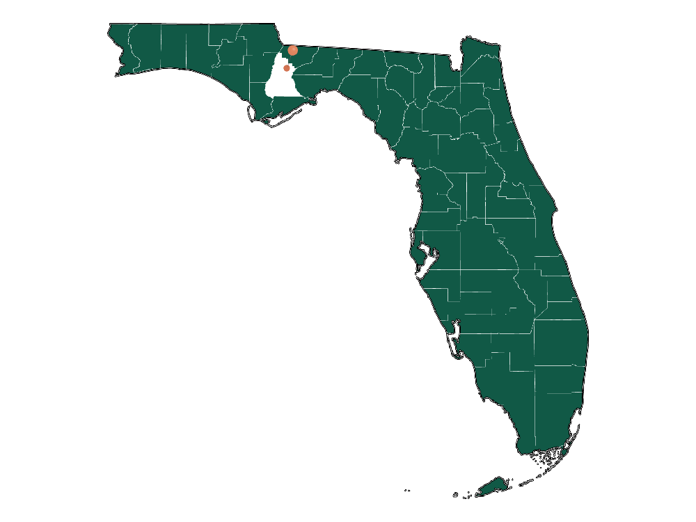 Infrastructure in Hosford, Florida