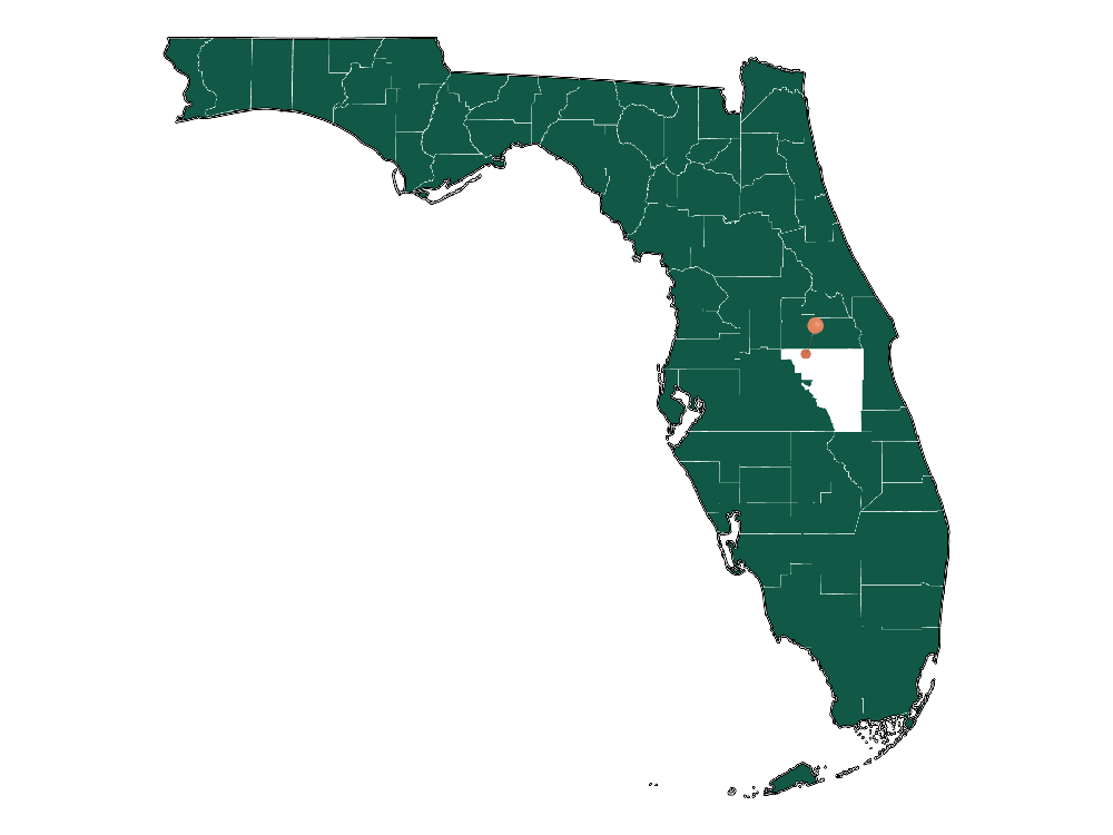 Cost of living in Kissimmee, Florida (Taxes and Housing costs)