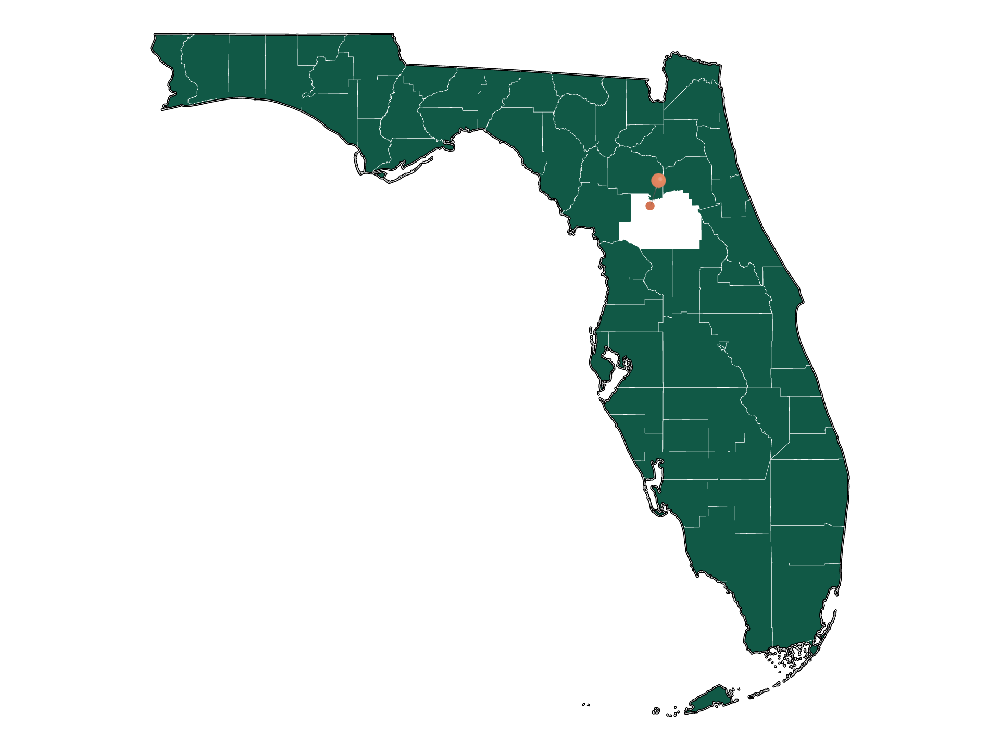 Cost of living in Reddick, Florida (Average Prices in Reddick 2023)