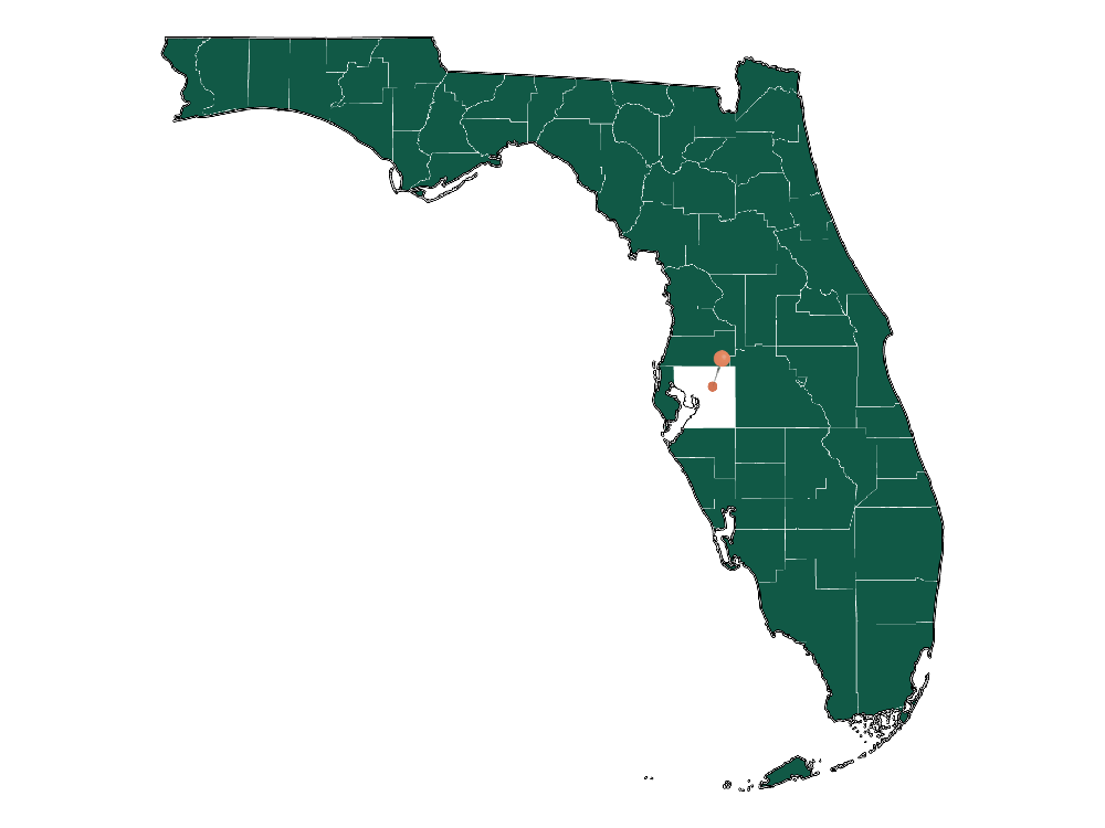 Schools in Seffner, Florida (Elementary, Middle и High Schools)