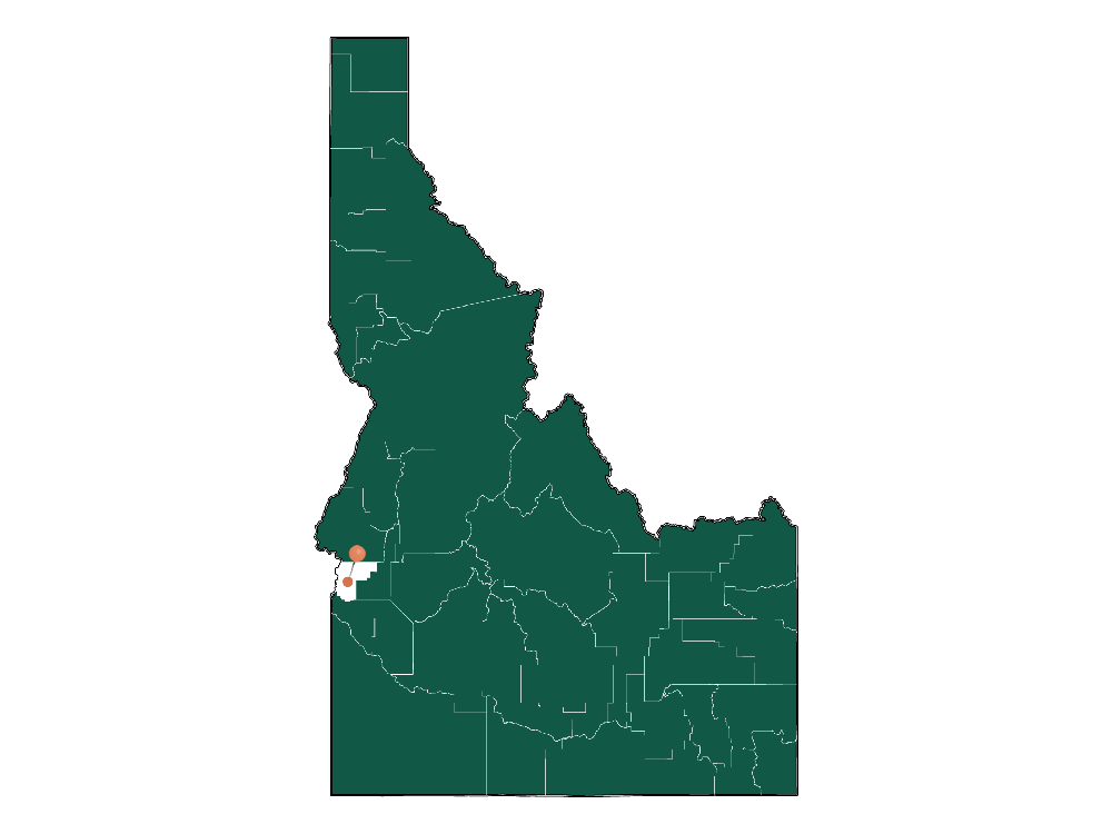 Moving to New Plymouth, Idaho in 2023