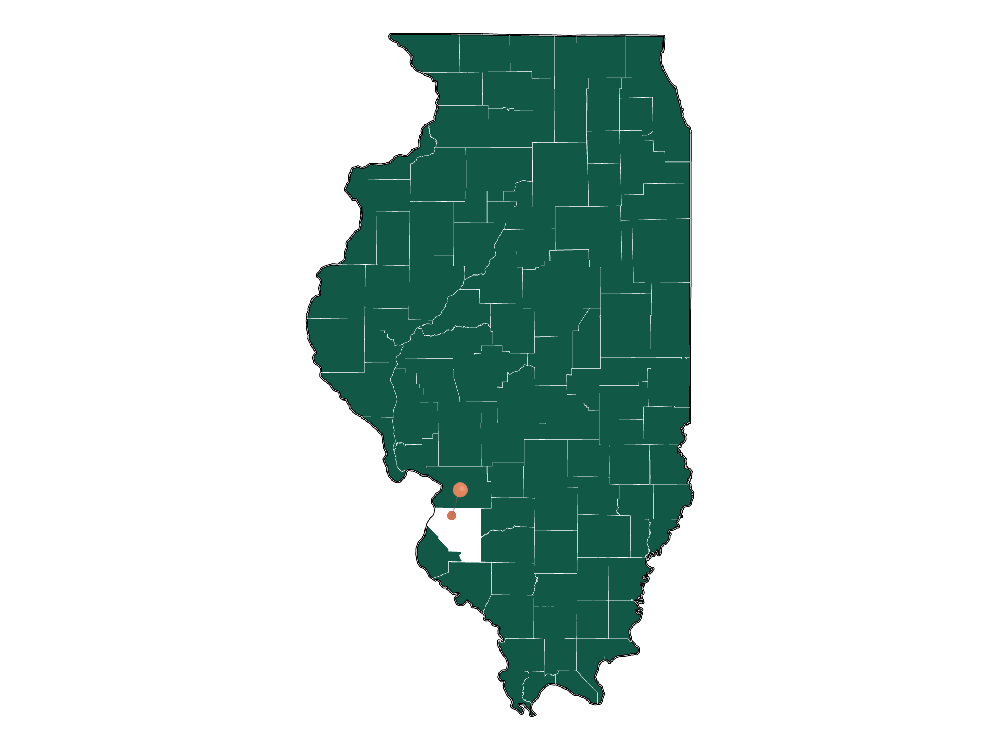 Moving to Fairview Heights, Illinois in 2023