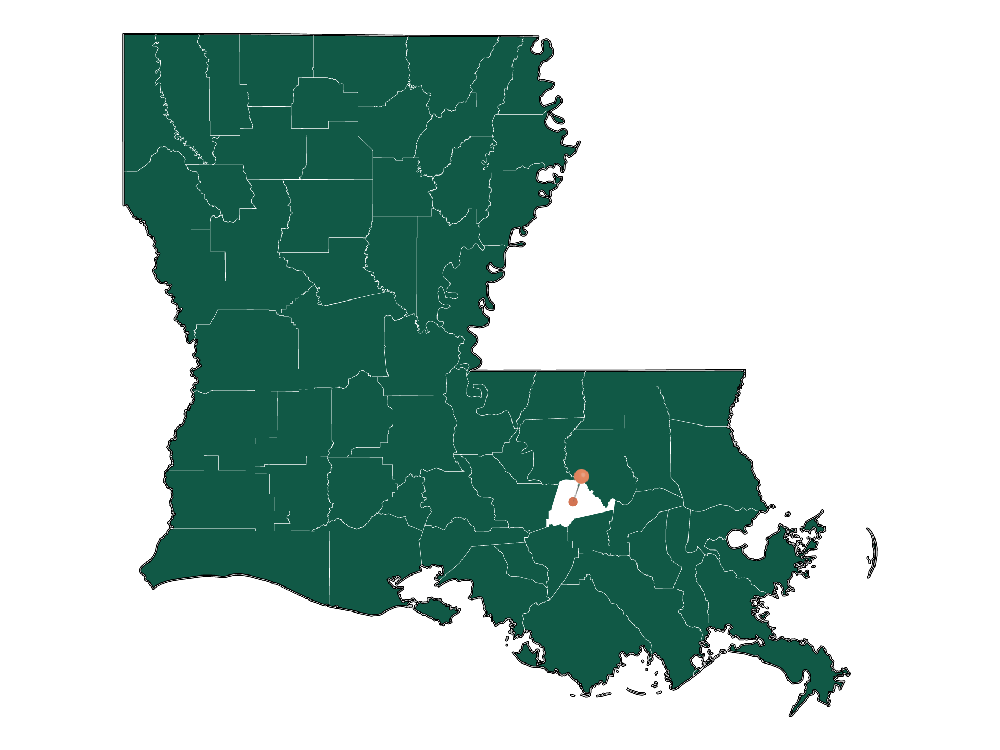 Schools in Gonzales, Louisiana (Elementary, Middle и High Schools)