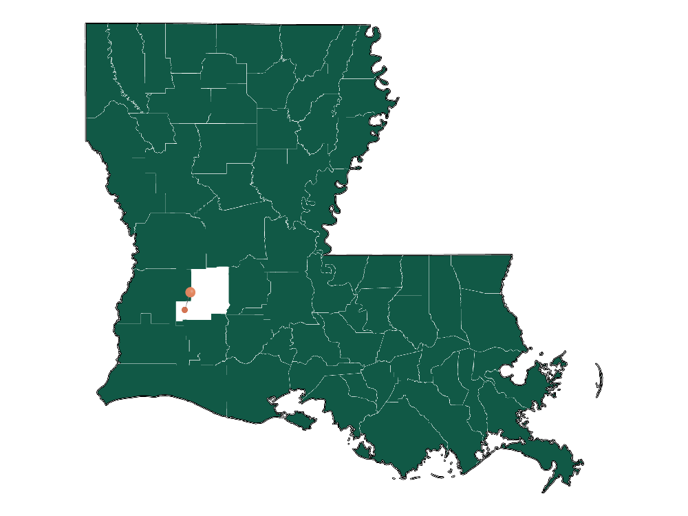 Schools in Reeves, Louisiana (Elementary, Middle и High Schools)
