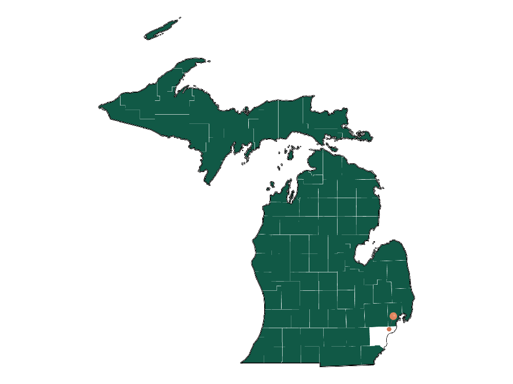 Safety in Hamtramck, Michigan (crime rates and environmental hazards)