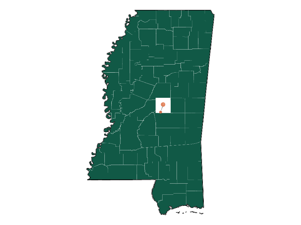 Cost of living in Lena, Mississippi (Taxes and Housing costs)