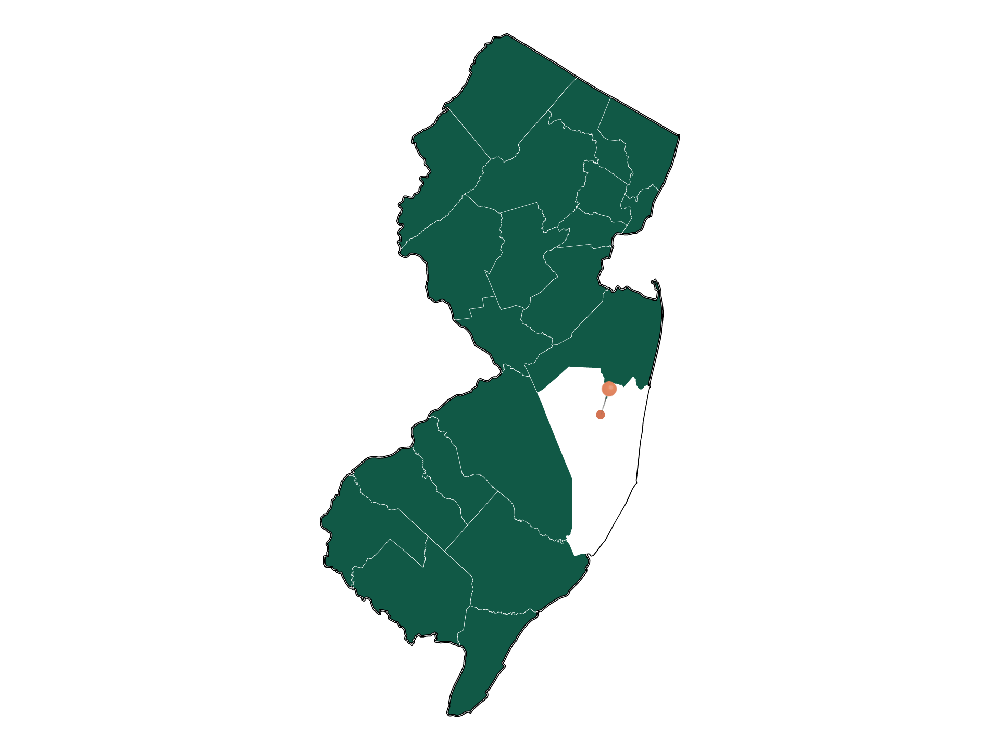 Unlocking Pine Lake Park, NJ Living Pros and Cons Dwellics