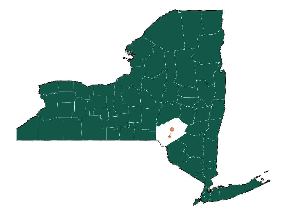 Moving to Downsville, New York in 2022