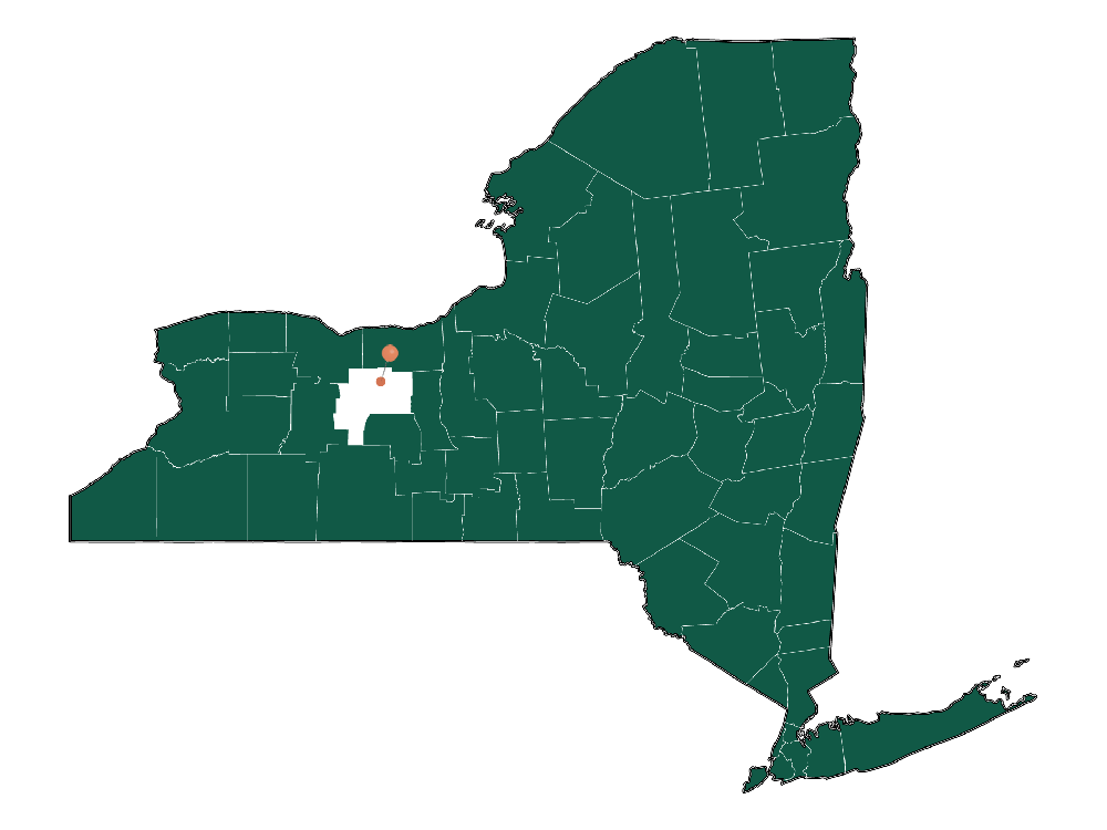 Population In Shortsville, New York Demographics)