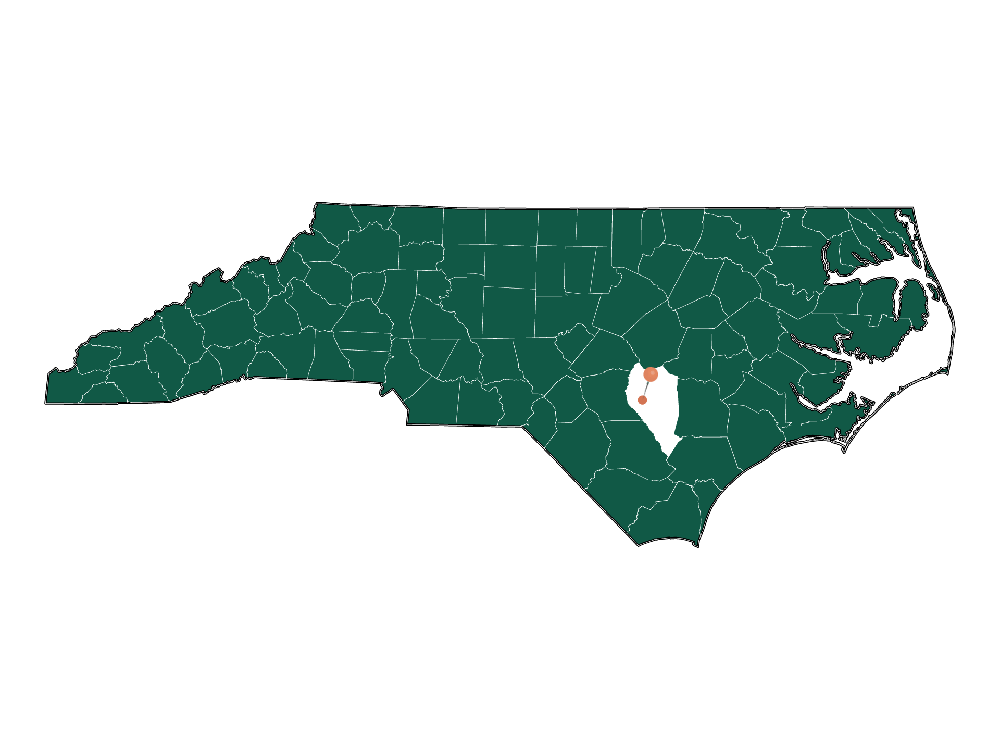 Unlocking Salemburg, NC Living Pros and Cons Dwellics