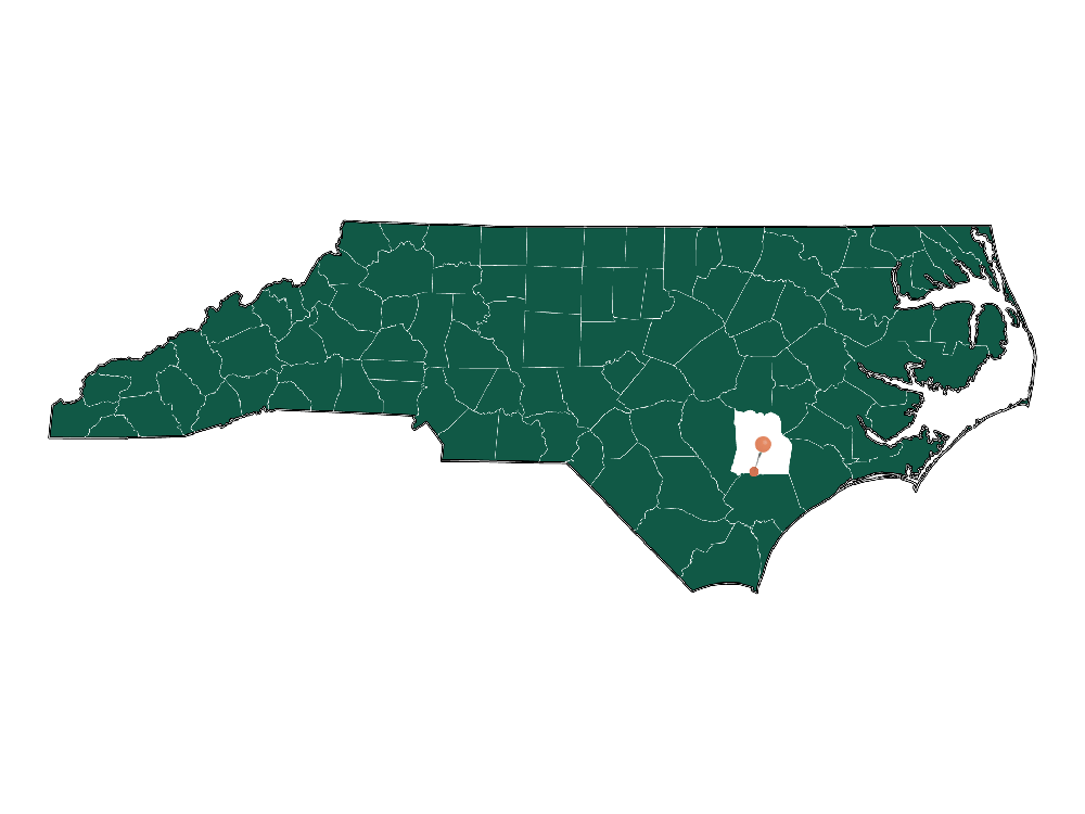 Infrastructure in Wallace, North Carolina