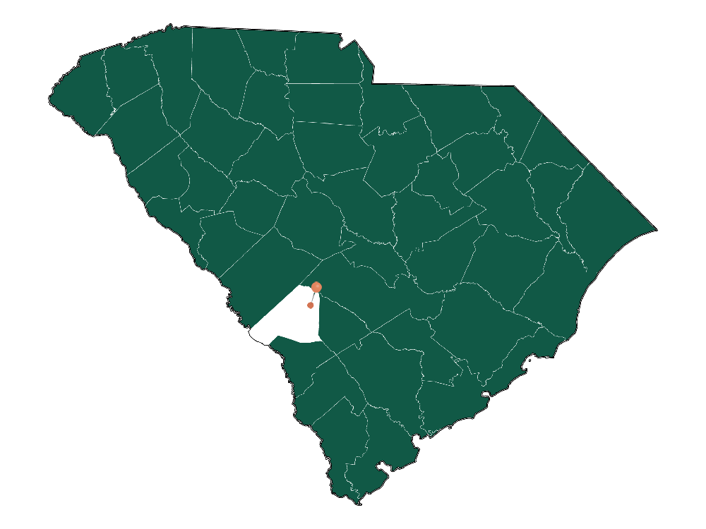 Population In Blackville, South Carolina Demographics)