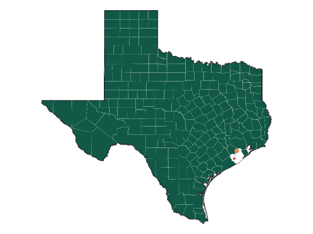 Moving to Wild Peach Village, Texas in 2023