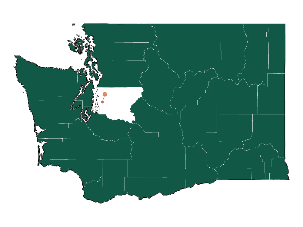 Safety in Bryn MawrSkyway, Washington (crime rates and environmental