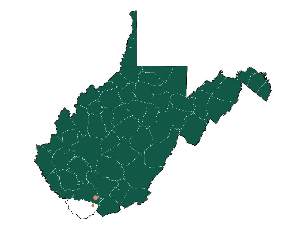 Schools in Northfork, West Virginia (Elementary, Middle и High Schools)