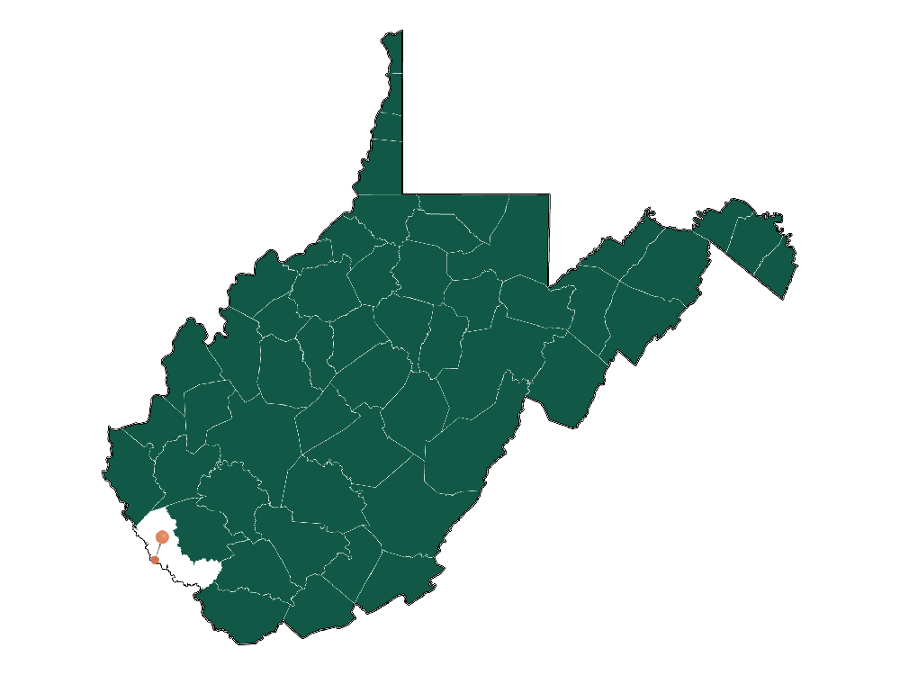 Safety in Williamson, West Virginia (crime rates and environmental hazards)