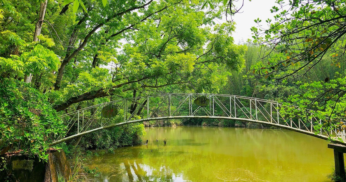 中興大學新化林場｜臺灣唯一的低海拔亞熱帶林場，更是休閒度假的好去處。