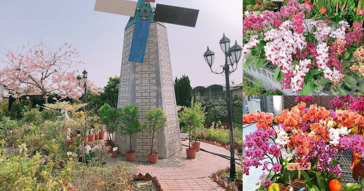 台南歸仁七甲花卉區｜玲瑯滿目的花草樹木造景令人目不暇給、不論是被花吸引進園區，或是來此採買回家自行培植的客人，都能在此找到合乎心意！