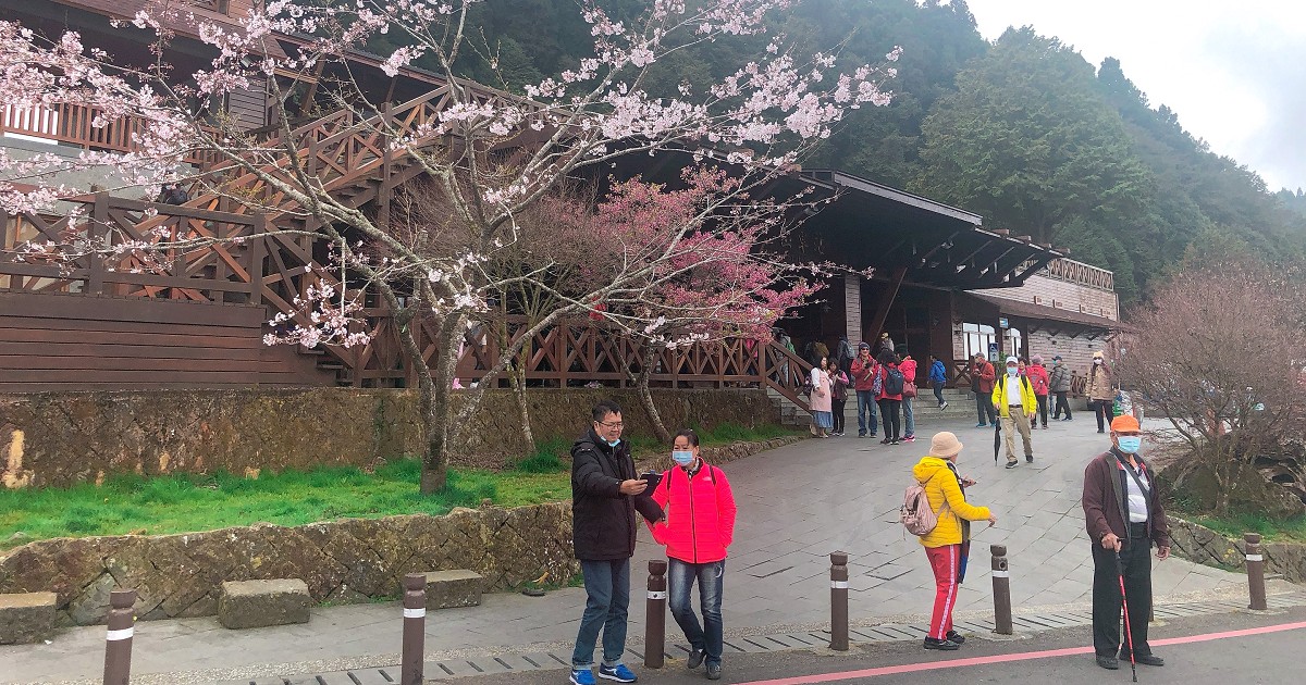 阿里山國家森林遊樂區｜台灣最具知名、也最受歡迎的森林遊樂區，森林小火車、神木、雲海、日出與櫻花，還有台灣最高的玄天上帝廟！