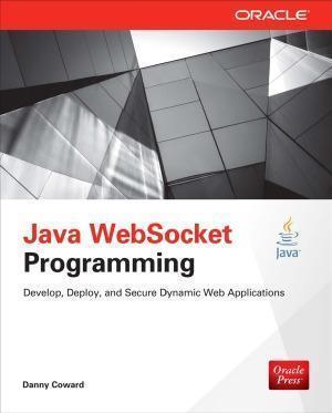 Java Websocket Programming (Edition) Java Websocket Programming (Edition)