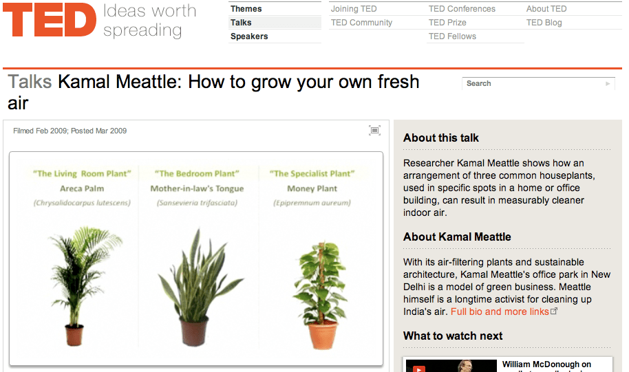 Three essential houseplants for clean indoor air. [Kamal Meattle on TED