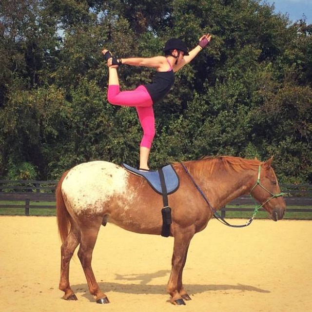 Yoga on a Horse, Of Course! elephant journal
