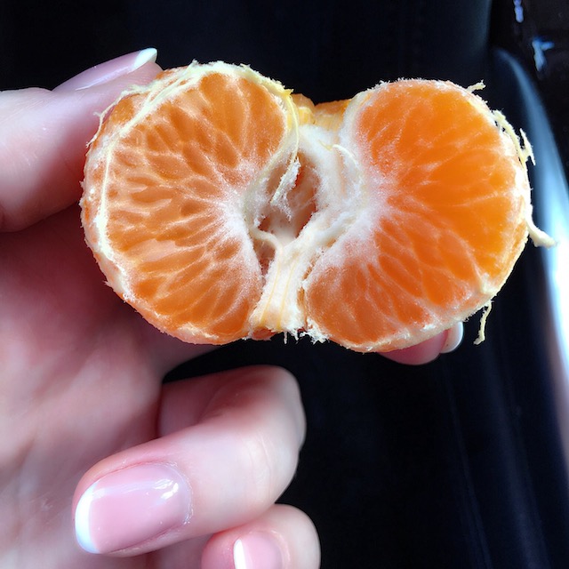 D*ck, P*ssy, C*nt & Other Words We’re Misusing. {Adult} elephant