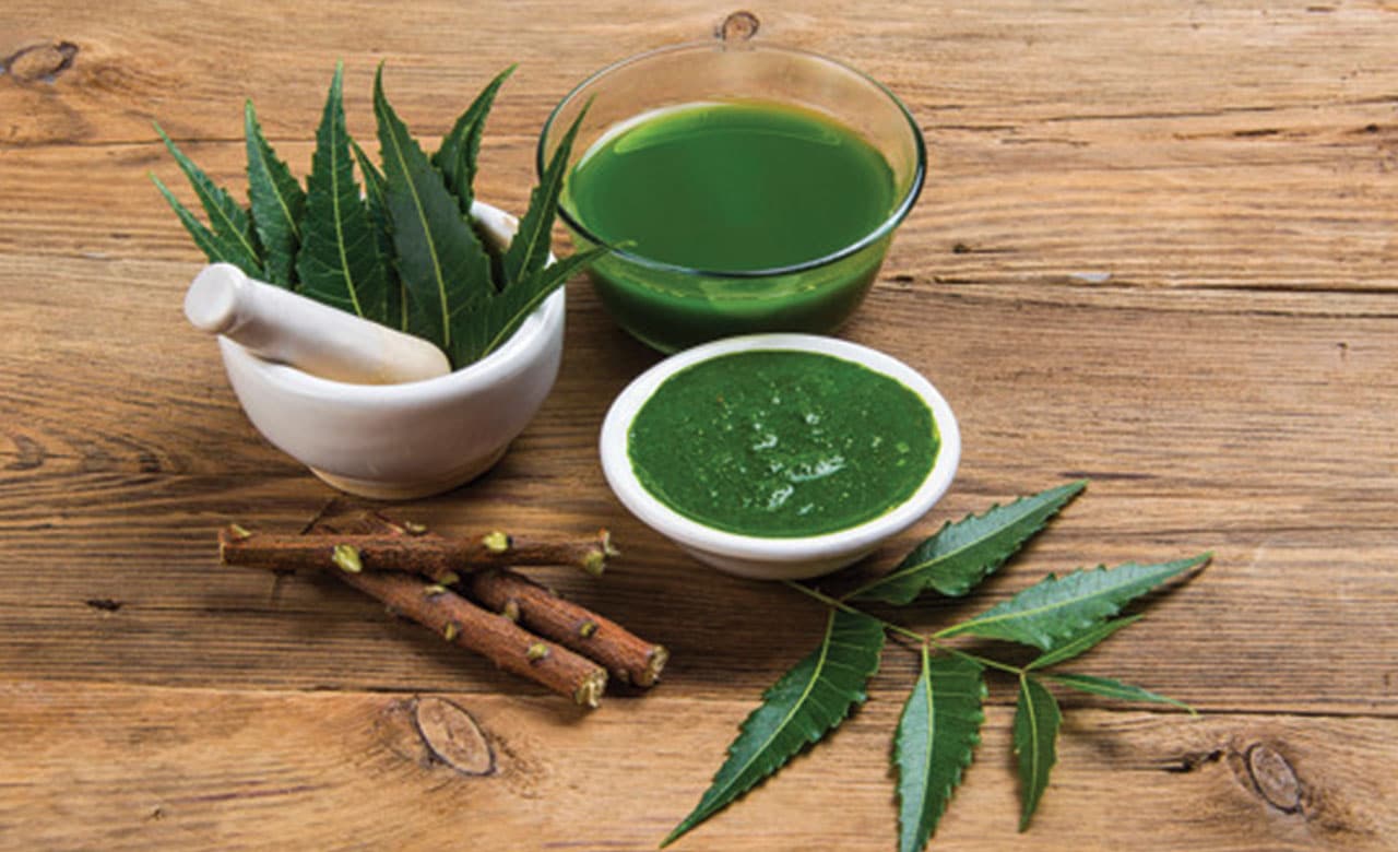 Indian Lilac Neem, The Miraculous Medicinal Plant elephant journal