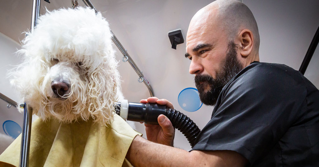 HydroDog Mobile Grooming Franchise Growing With LowCost Of Entry And