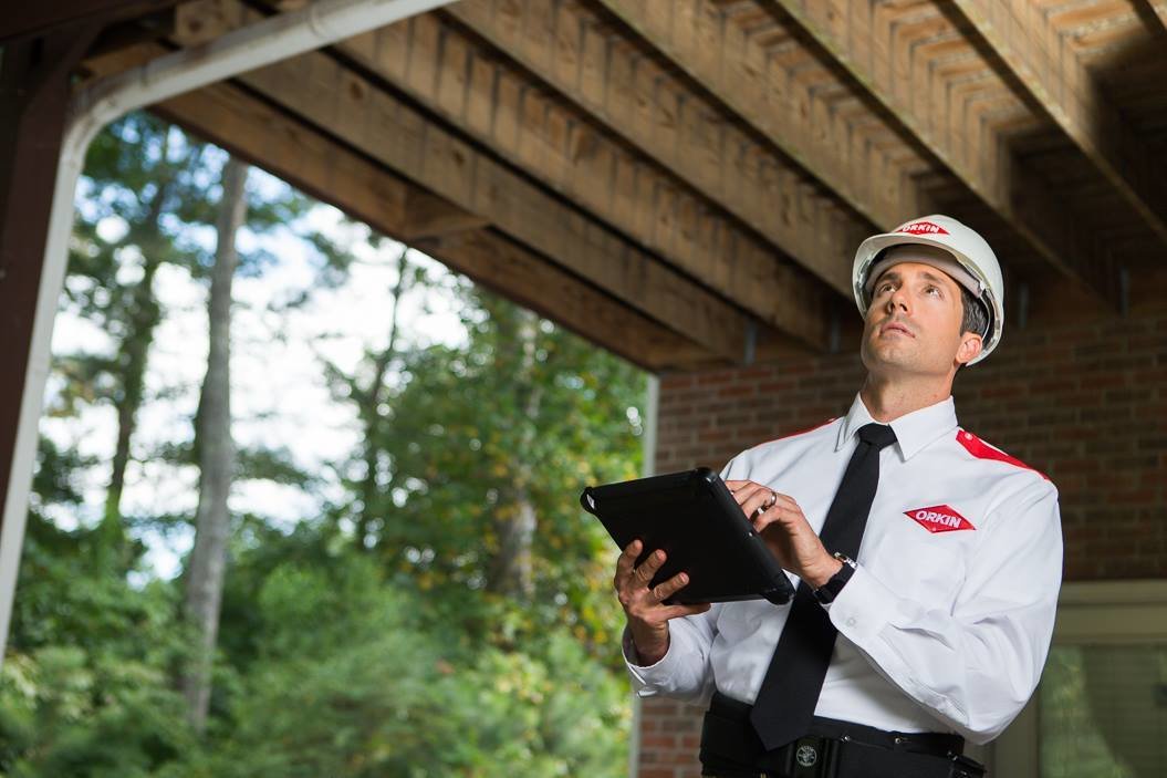 Under control with Orkin Franchising.eu franchise opportunities in