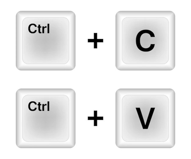 Premium Vector Ctrl c ctrl v keys on the keyboard copy and paste the key combination insert a
