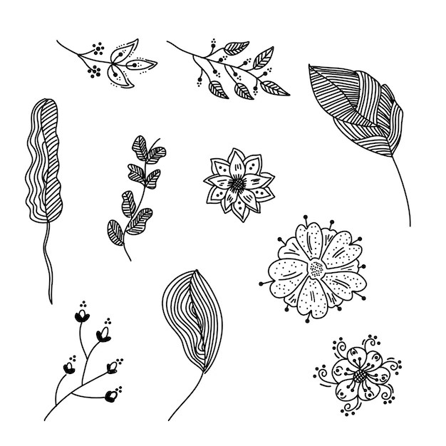 Premium Vector Flower Vector
