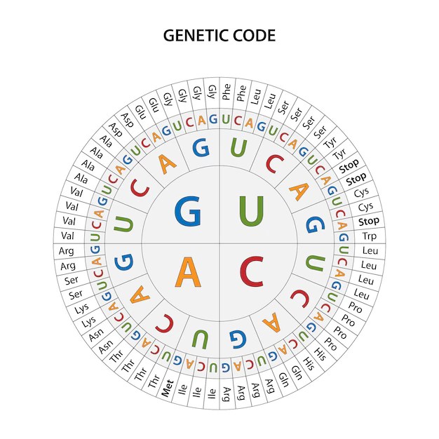 Premium Vector The code chart