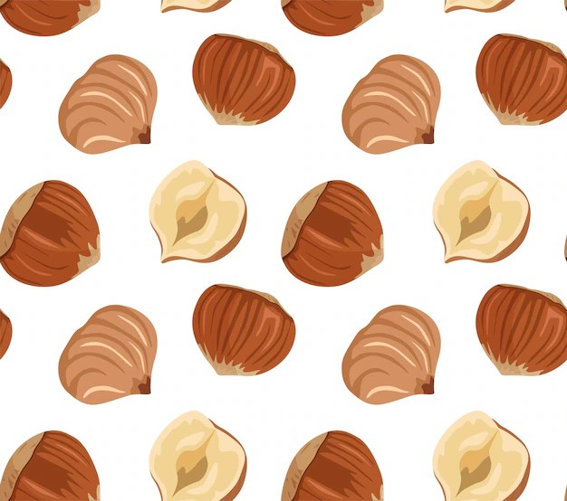 Premium Vector Hazelnut kernels