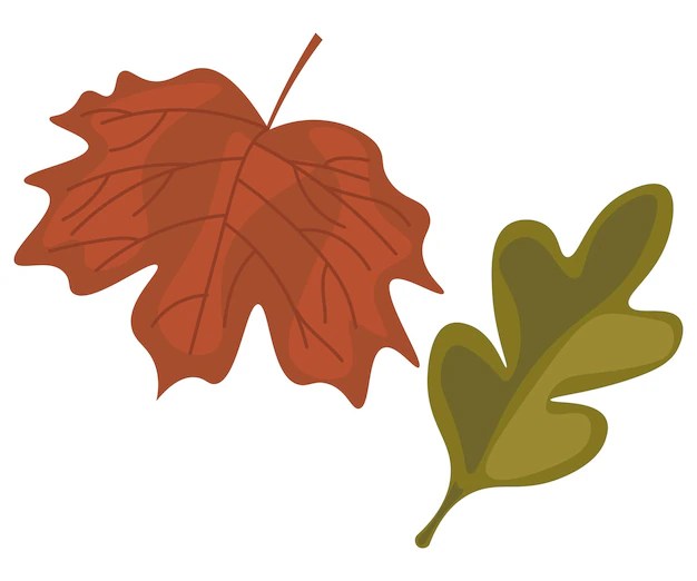 Premium Vector Leaf 2